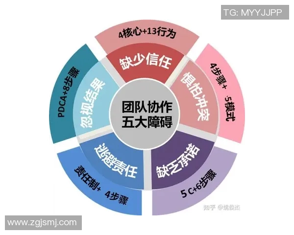 深圳攀岩队团队协作模式深度解析与其他队伍的对比研究